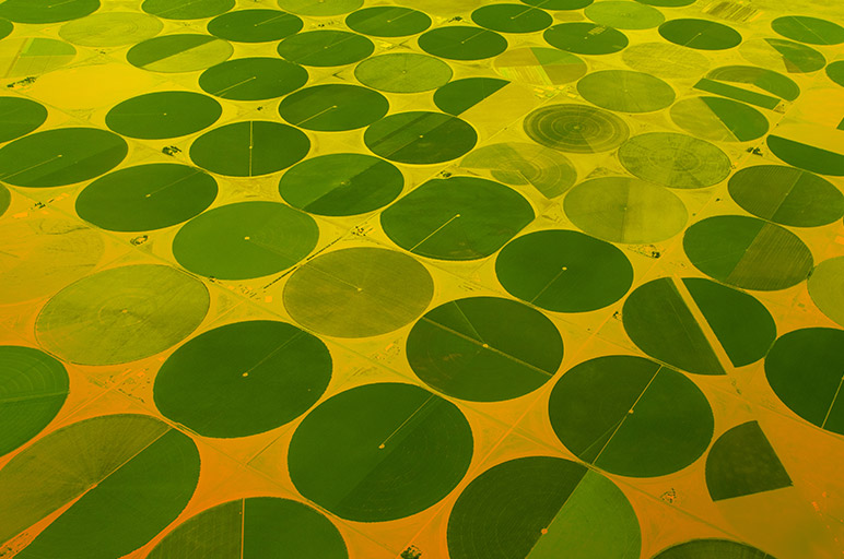 עוד שלב בדרך להתחלת הפעילות: הבנק הדיגיטלי מבקש להיות חבר בורסה