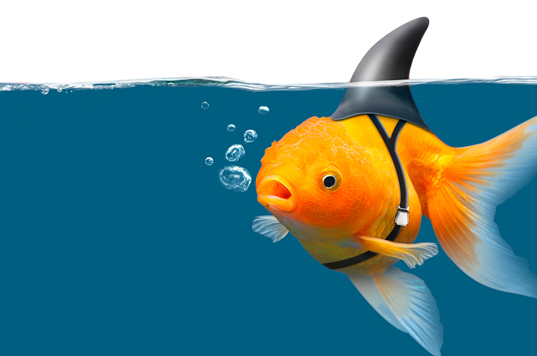 לא כל הנוצץ – בנק הוא