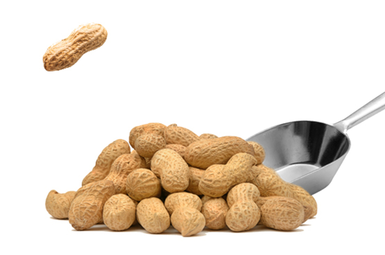 עמלות עו"ש זה בוטנים